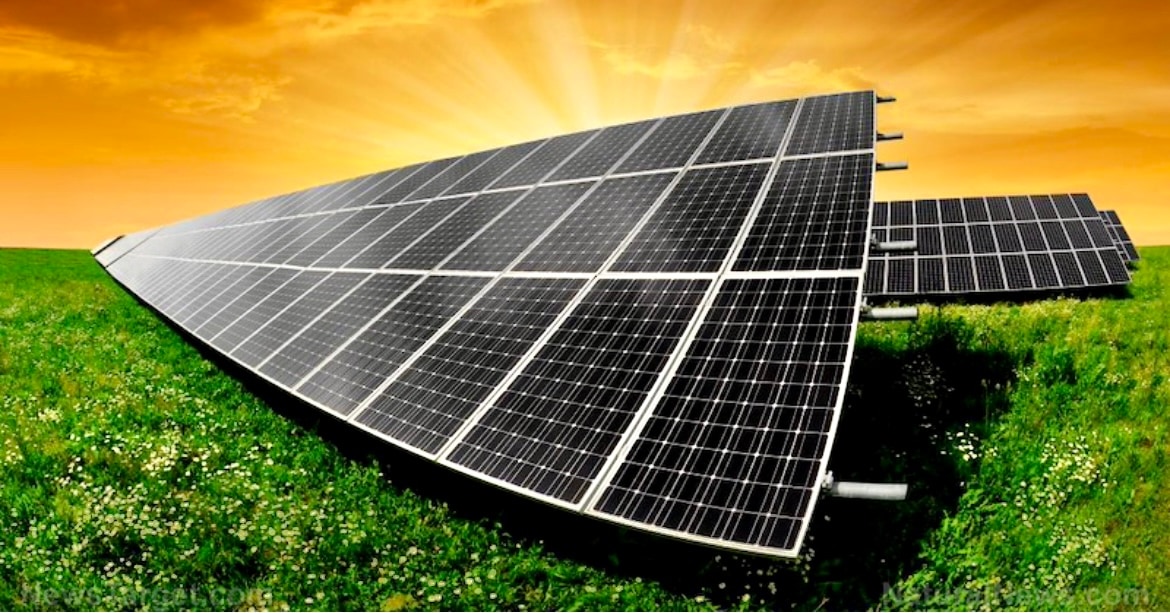 Toxická pravda za ilúziou o solárnej energii: Odpad z ťažkých kovov robí úrodnú pôdu nepoužiteľnú